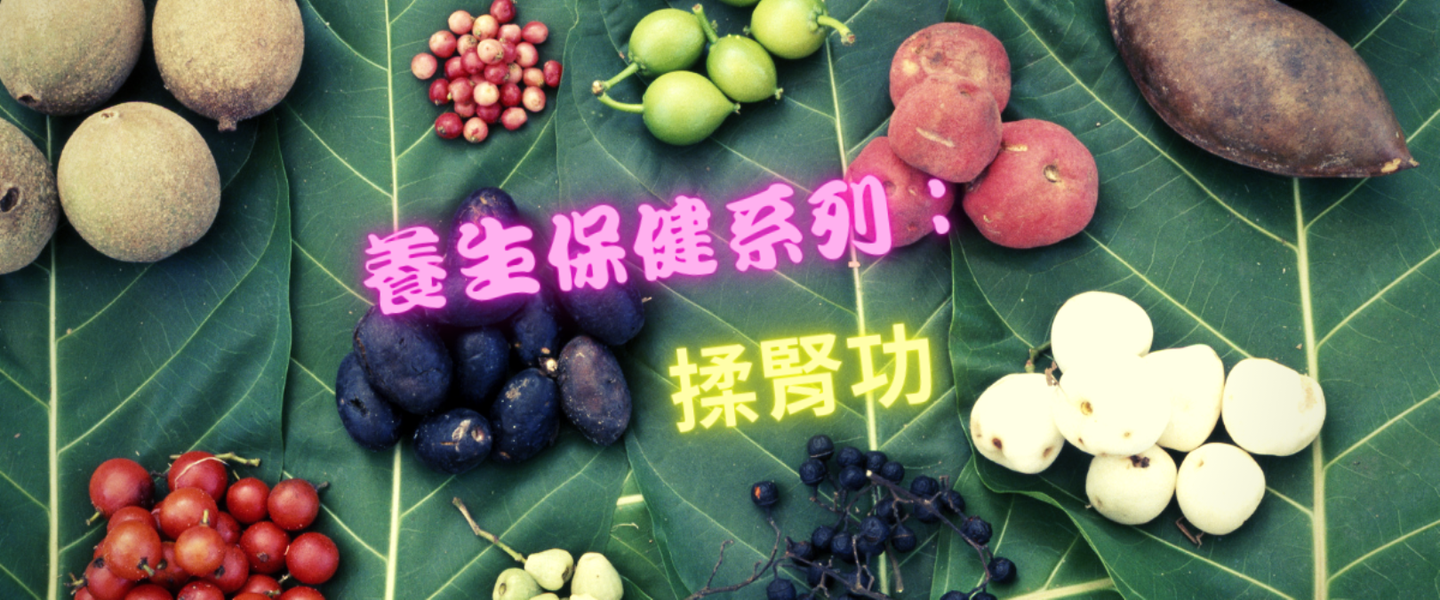 養生保健系列：揉腎功