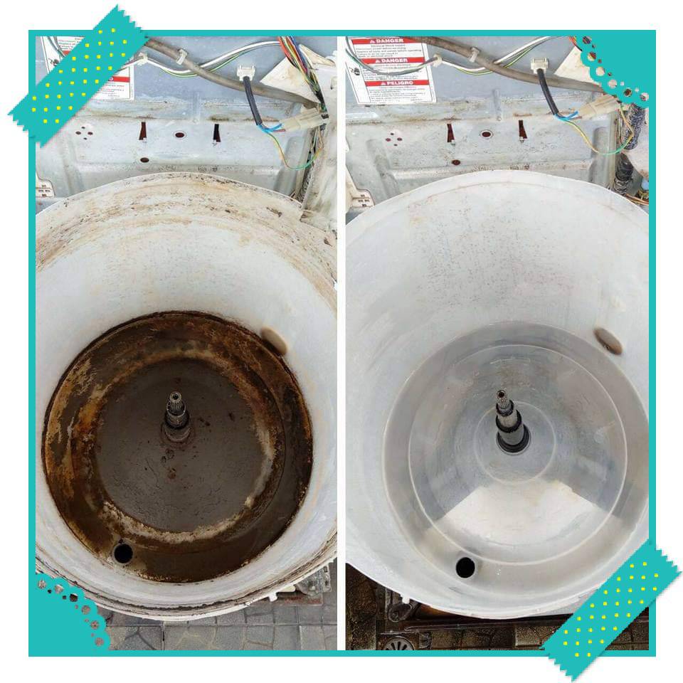 黴菌、塵蟎、過敏一次清除：洗衣機、冷氣清洗