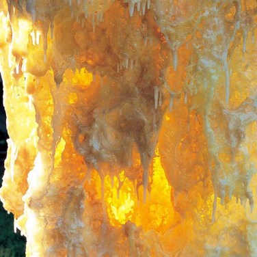 义云高大师 韵雕画册