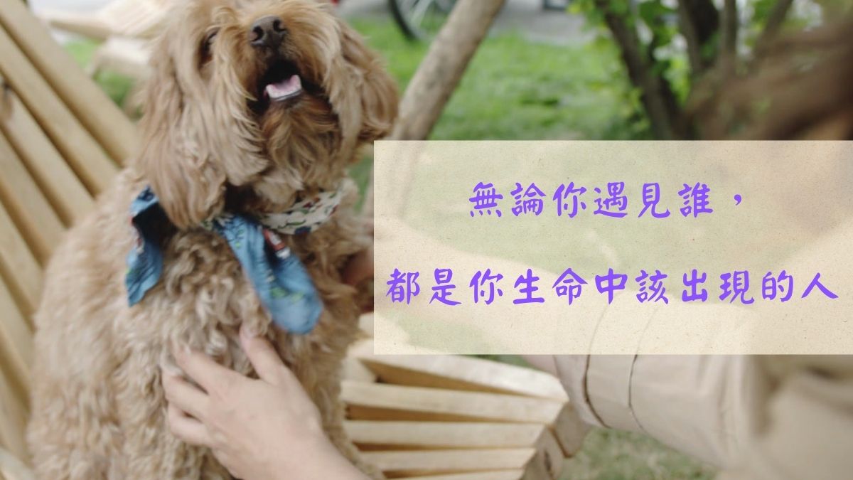 無論你遇見誰，都是你生命中該出現的人