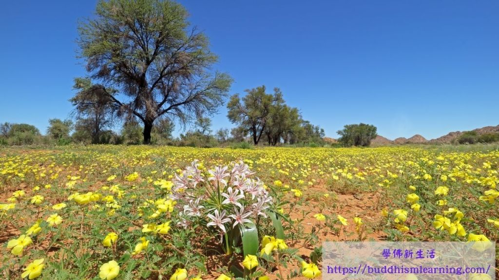 佛教故事：積善轉報