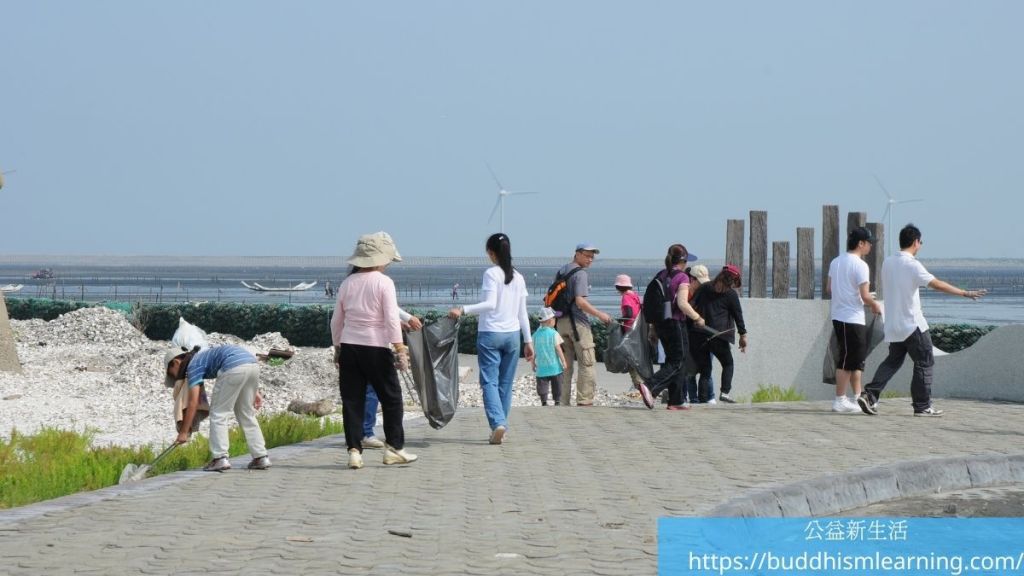 公益活動：福寶濕地淨灘、賞鳥、生態教學