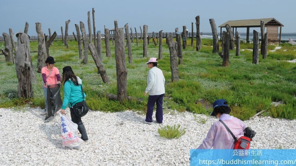 公益活動：福寶濕地淨灘、賞鳥、生態教學
