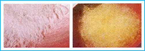 佛界聖蹟天降甘露與舍利