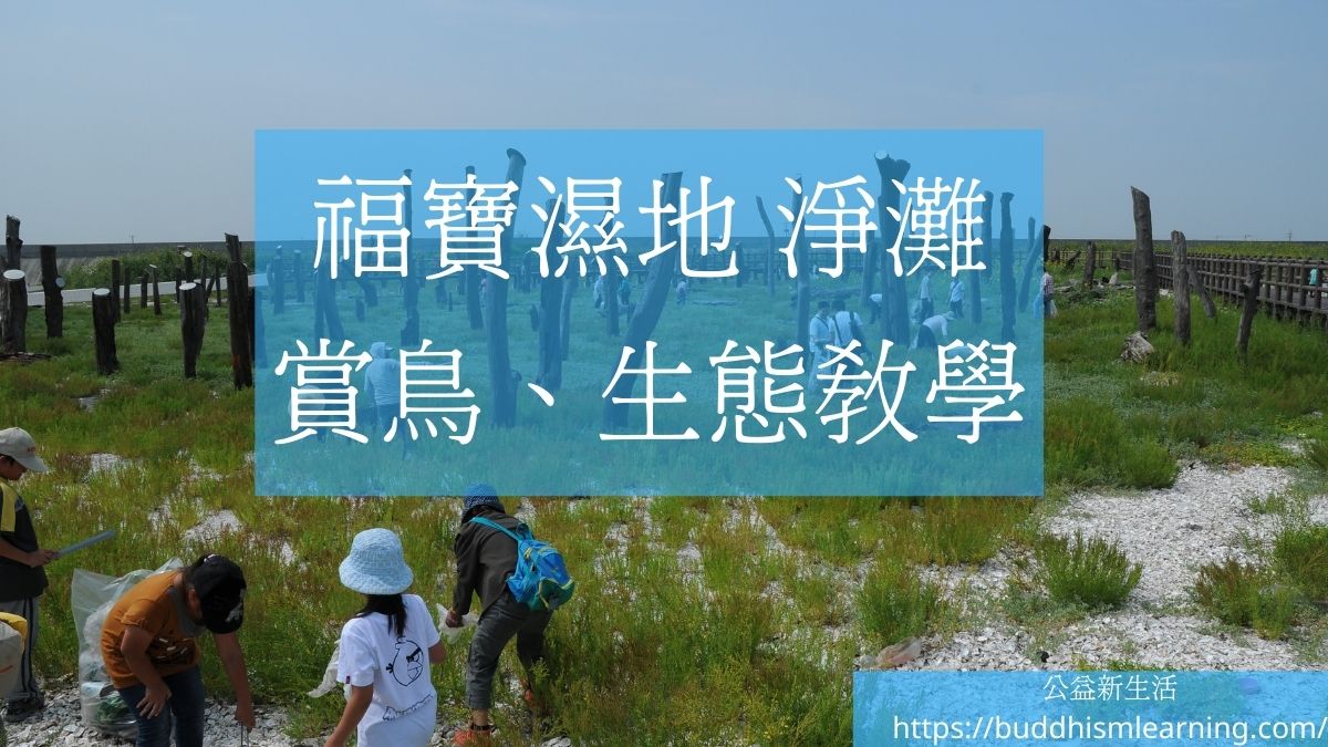 公益活動：福寶濕地淨灘、賞鳥、生態教學