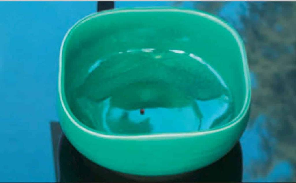 金剛換體禪修法的祿東贊法王神識出體拿到手中。 