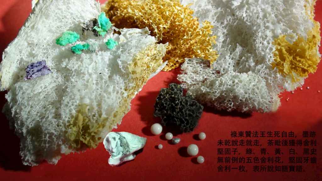 祿東贊法王火化後得到的稀有的五色舍利花堅固子