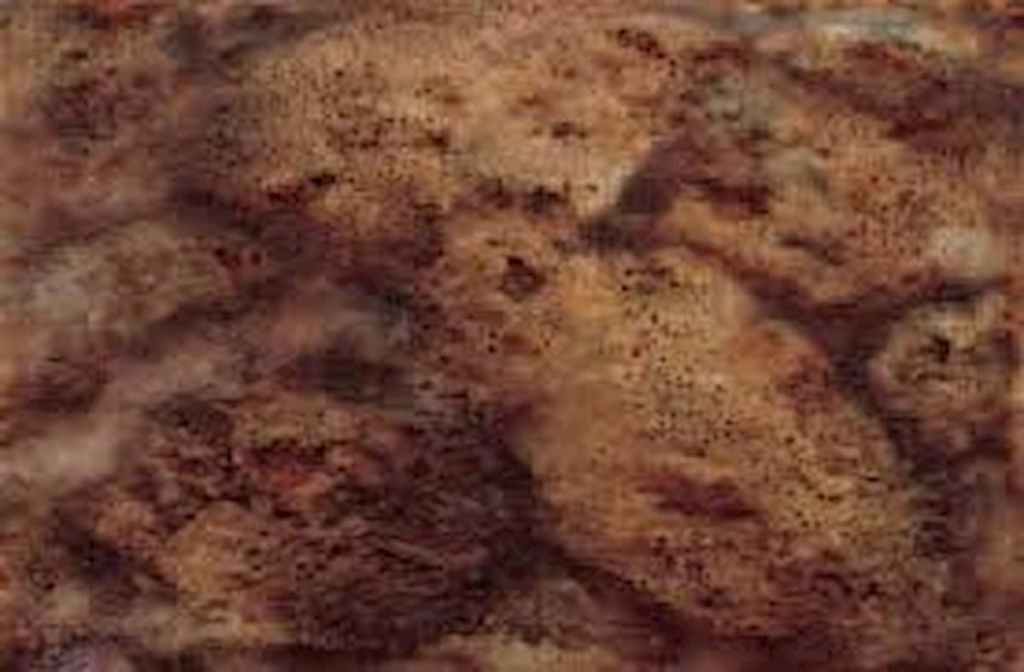 H.H.第三世多杰羌佛創始的十六個畫派: 超實派