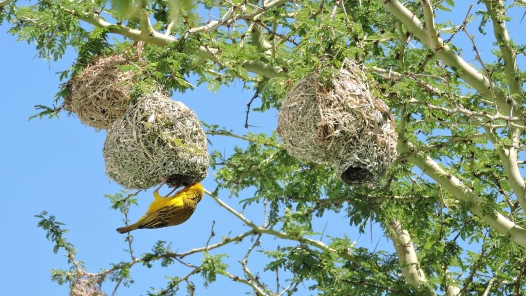 既然要死亡，生命有何意義你的答案是什麼？#學佛新生活
