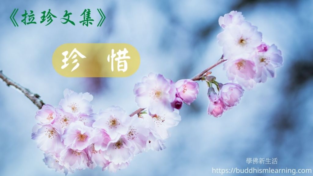 拉珍文集：珍惜