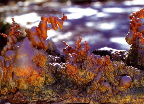 造景藝術：夢幻曲之夢幻玄湖