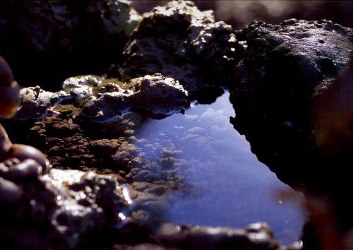 造景藝術：夢幻曲之湖水及天光